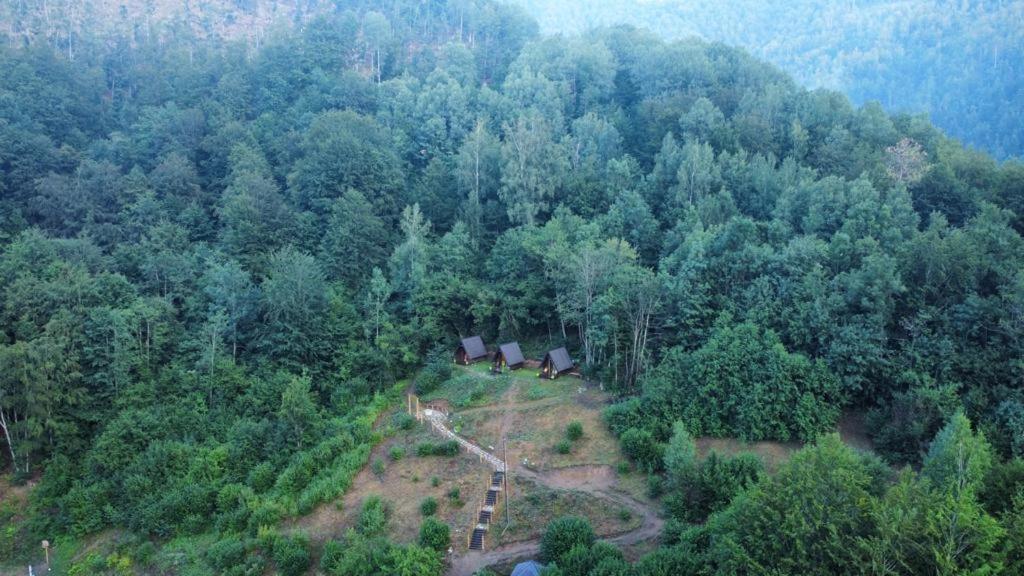 Holiday Bungalows Pajkovir โคลาชิน ภายนอก รูปภาพ